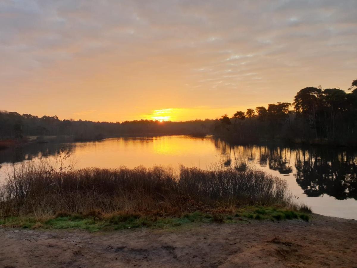 29, Natuurlijk Gelegen Nabij Efteling En Beekse Bergen, Airco & Prive Parkeren Inbegrepen! Oisterwijk Dış mekan fotoğraf