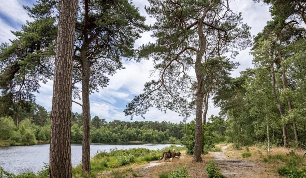 29, Natuurlijk Gelegen Nabij Efteling En Beekse Bergen, Airco & Prive Parkeren Inbegrepen! Oisterwijk Dış mekan fotoğraf